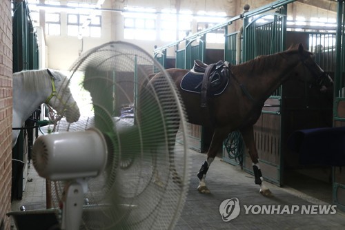 농식품부-마사회, 말 보호 모니터링센터 개설