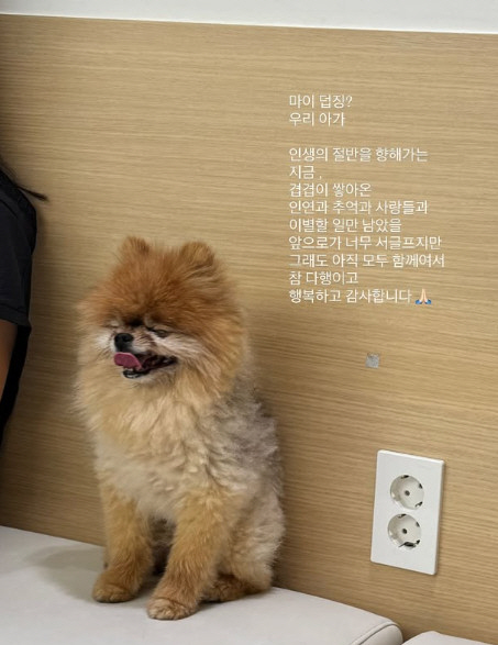 '박성광♥' 이솔이, 심장병원 다녀온 뒤 안타까운 일상 "아프지 말기 겨…