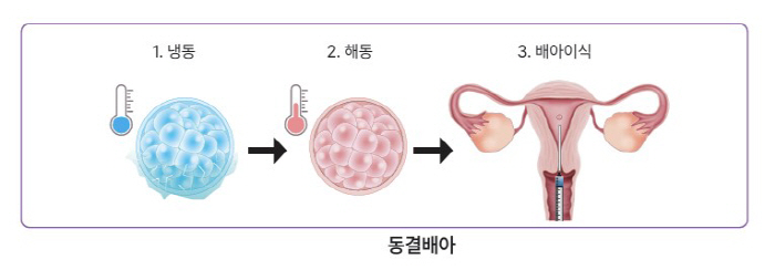 "지난해 생성 배아 80만개 육박…폐기는 50만개 넘어"