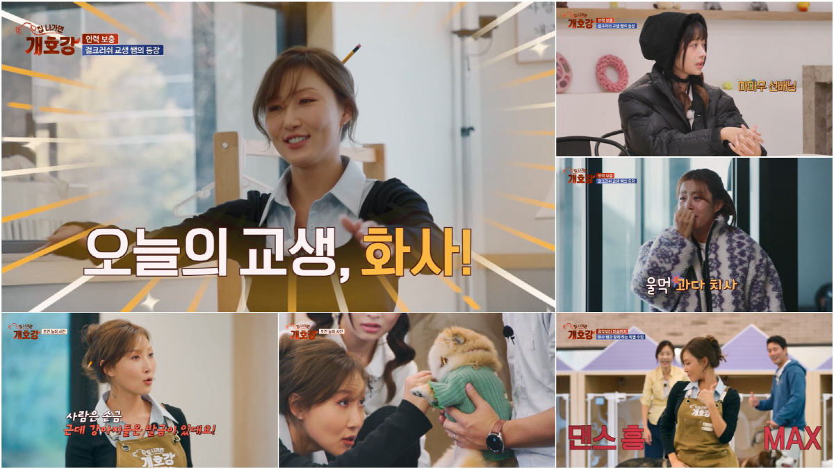 마마무 화사, 점쟁이 됐다..줄 선 사람들 “다 맞춰 소름”