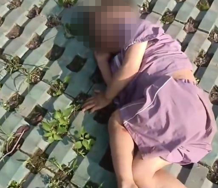 18층에서 추락한 3살 아이 기적 생존…"나무 덕분에 살았다"