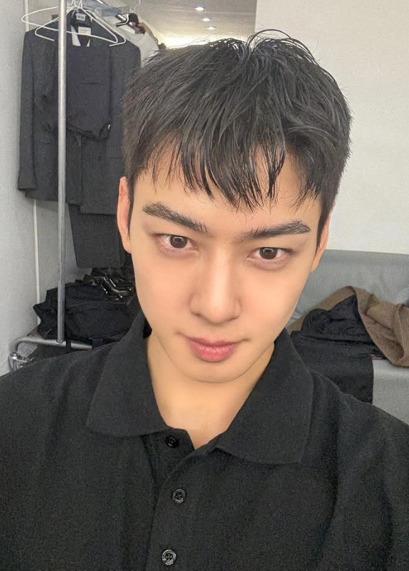[청룡랭킹] 차은우, 군 입대전 마지막 청룡랭킹까지 접수 팬 사랑 확인하…