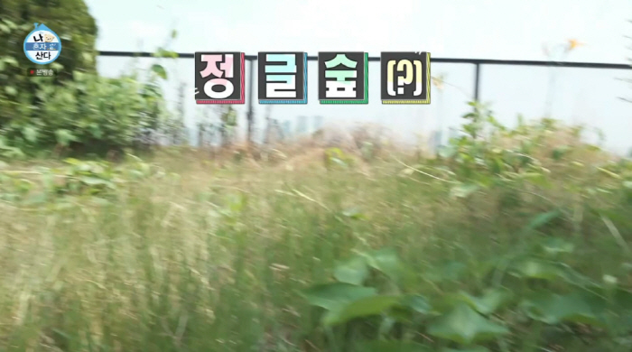 키, 정글숲된 '38억' 한강뷰 정원...'37도'에도 예초 작업 "야장…