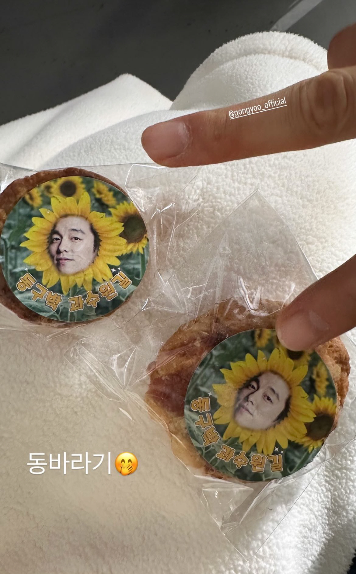 송혜교, 공유에 “동바라기” 자처..‘천천히 강렬하게’ 벌써부터 대박 조…