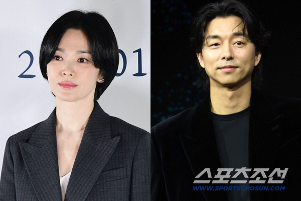 송혜교, 공유에 “동바라기” 자처..‘천천히 강렬하게’ 벌써부터 대박 조…