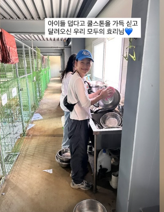 [종합] "폭염도 못 막은♥"…이효리X소녀시대 유리, 유기동물 향한 '선…