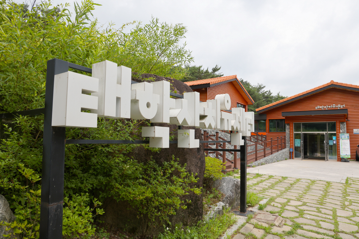 일상과 비일상의 만나는 곳 '천안-아산'…"치유의 시간, 뜨거워진 가슴도…