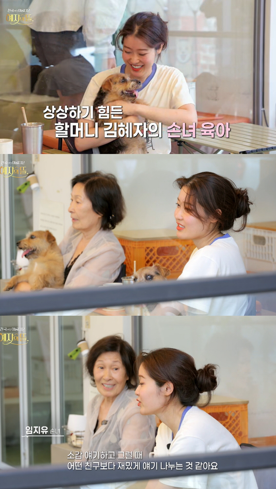 김혜자, 붕어빵 손녀 최초공개...'하버드 졸업+예비의사' 엘리트코스 (…