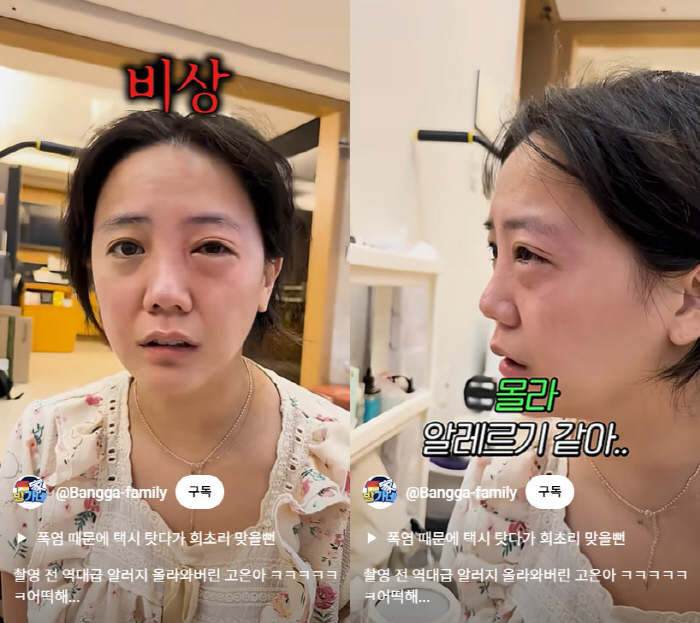 고은아, 낙상사고 이어 또 안타까운 소식…역대급 알러지에 '눈 퉁퉁'
