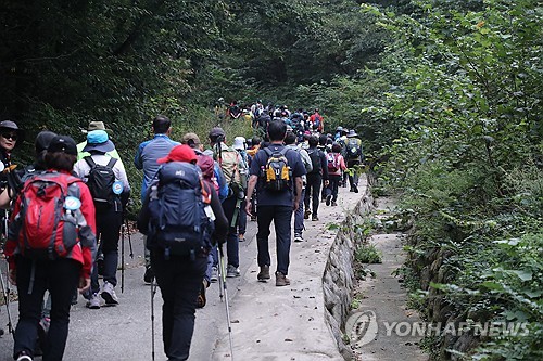 "매일 15분만 빠르게 걸어도 장기적 사망 위험 20% 감소"