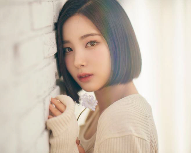"술집서 일하다 15세 연상 남편 만나"…'은퇴' 앨리스 소희, 루머에 …
