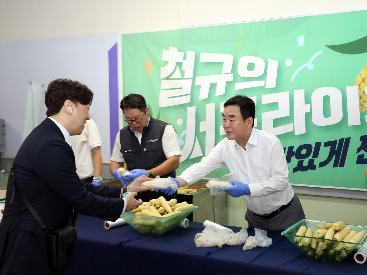강원랜드, 지역 재배 옥수수 3만개 구매 "방문객에 지역 먹거리 제공"