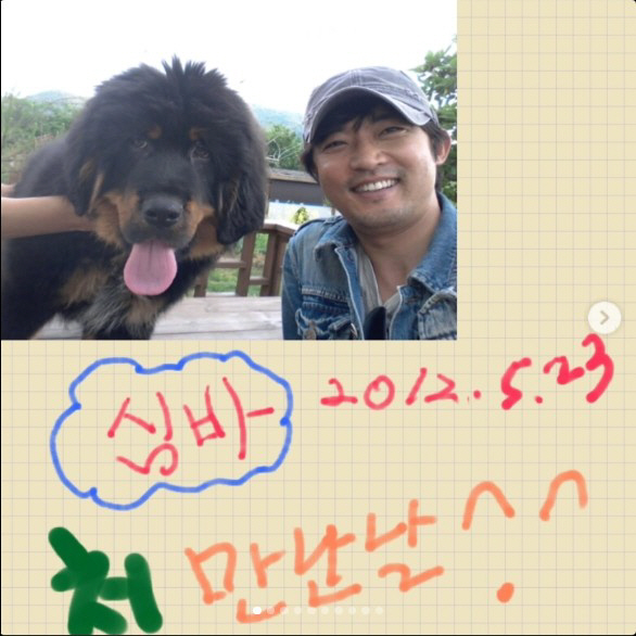 안재욱, 안타까운 결별 소식 전했다..."하늘나라에서 원없이 뛰길"