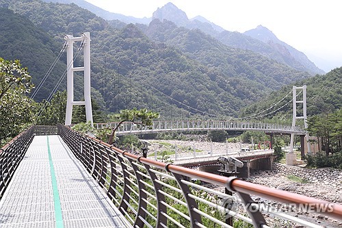 개통 1주년 맞은 속초 설악향기로…누적 방문객 35만명 돌파