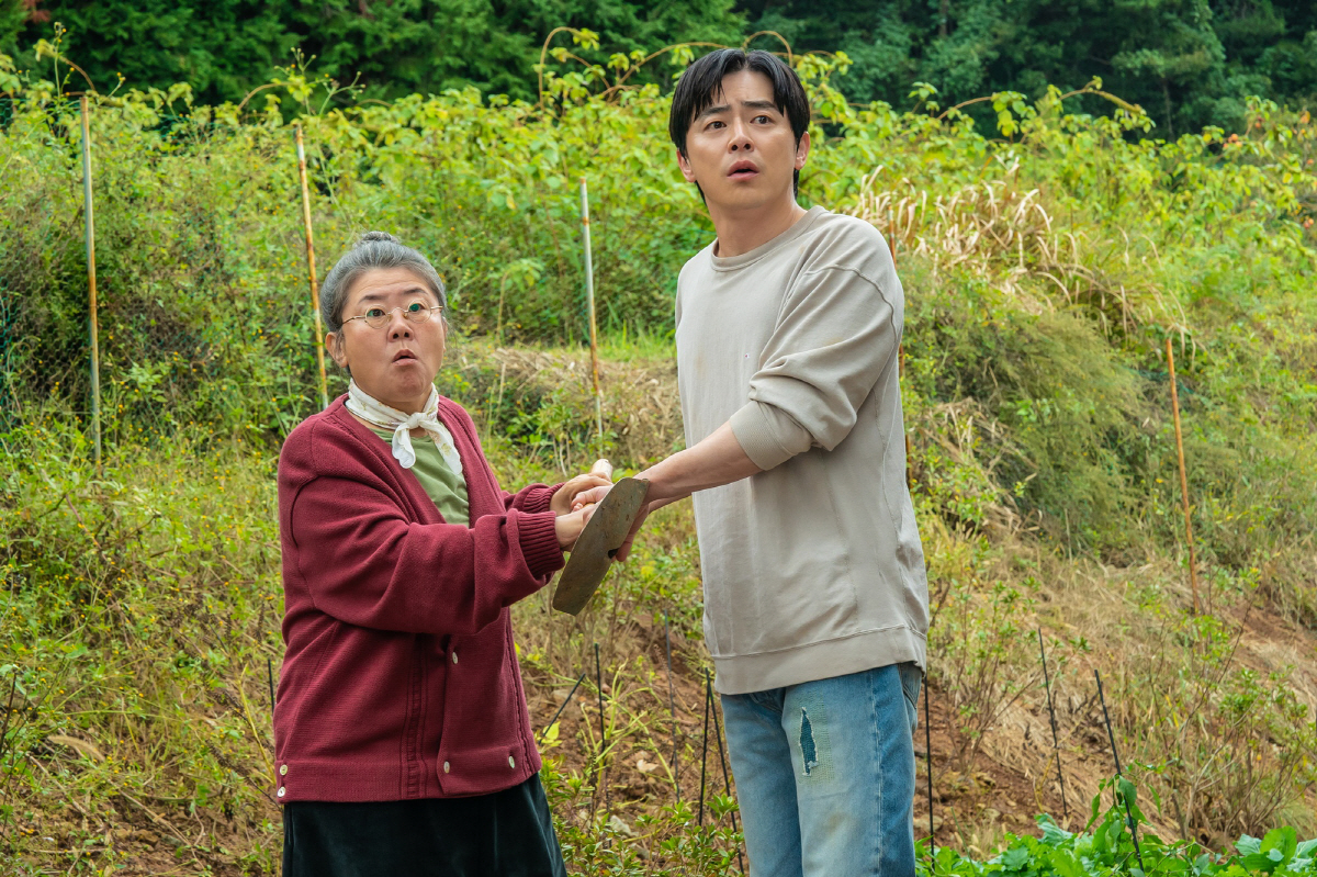 [SC이슈] 극장 멸망전 끝낸 '여름 제철' 조정석..'좀비딸' 폭염→천…