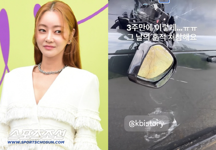 서효림, 폭우 피해 처참..차량·별장 망가져 "마음 무너진다"