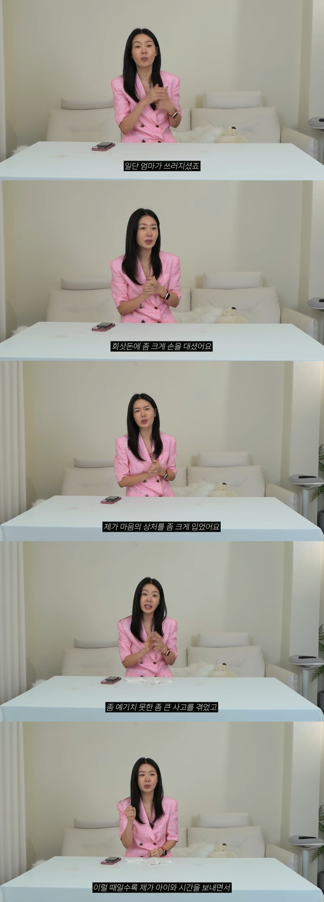 '캐나다 이주' 안선영 눈물, 직원이 수억원 횡령 "식구라 믿었는데 배신…