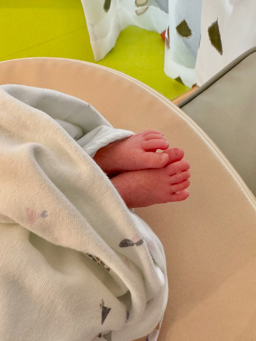 레이디제인♥임현태, 꼭 닮은 25일 된 딸 쌍둥이 "쉽지 않다 쌍둥이 육…