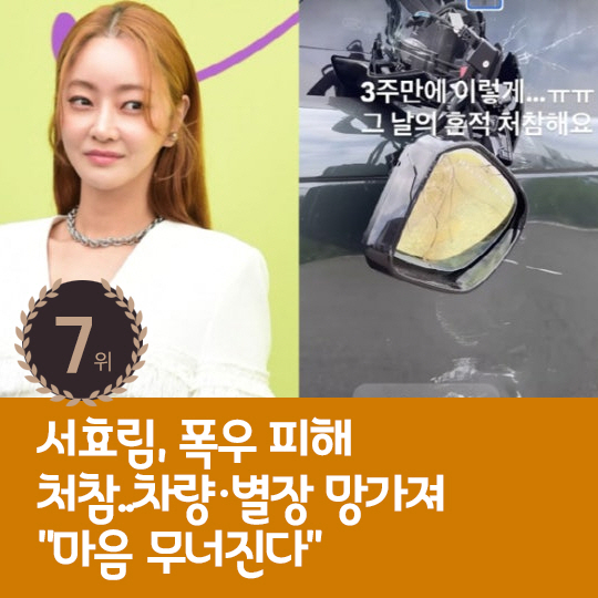 [카드뉴스] 지난주 핫이슈, 안재현 열애 공개 응원에 오열