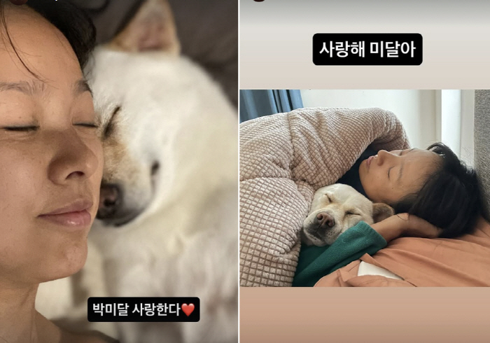 '이상순♥' 이효리, 반려견들과 웃고 운 서울살이…"사랑해 미달아"