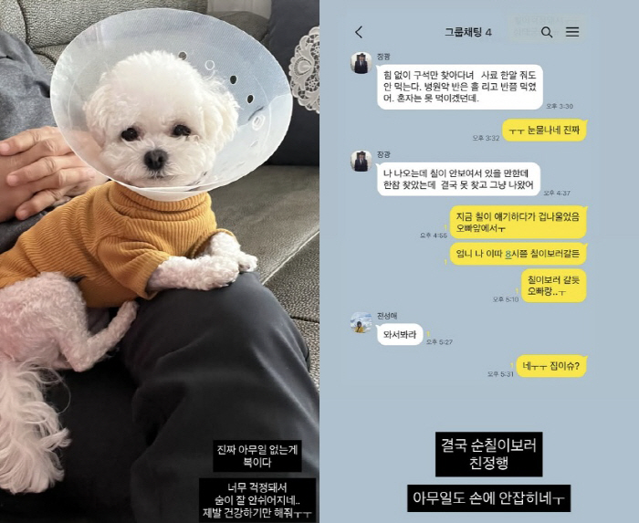 '김태현♥' 미자, 안타까운 소식 전했다 "숨 쉬는 것도 힘들어, 종일 …
