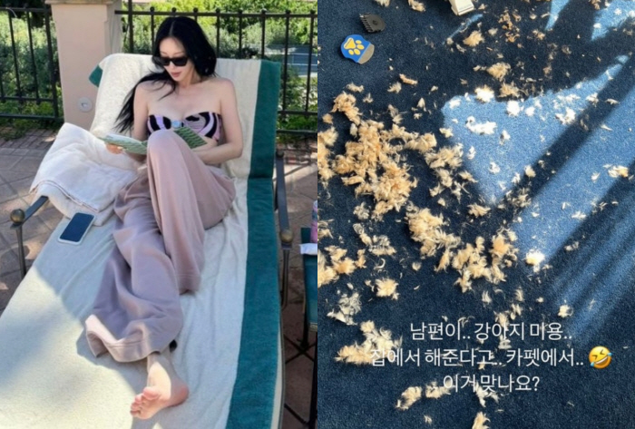 [SCin스타] “카펫 위에서 미용 맞아요?” 한예슬, ‘♥류성재’ 반려견 털 뿜뿜 미용에 당황