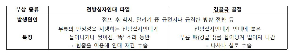 "소아청소년 무릎, 타고난 모양 따라 부상 양상 달라"