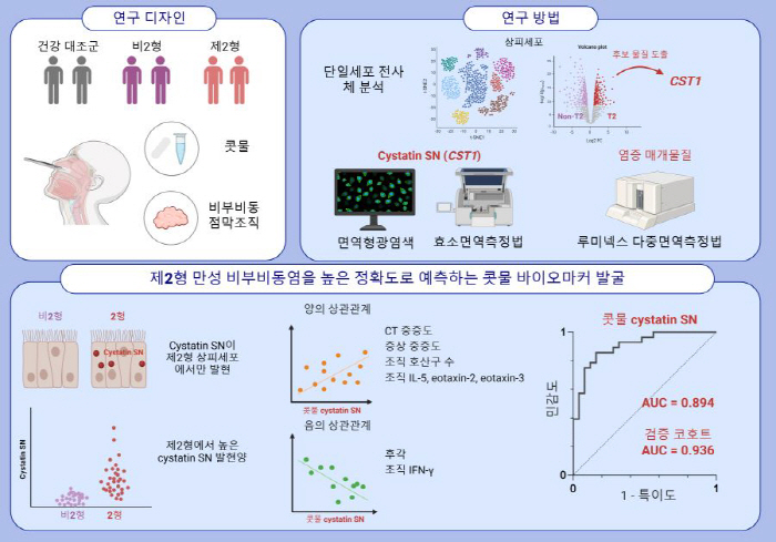 콧물로 제2형 만성 비부비동염 진단 가능…기존 조직 생검보다 신속