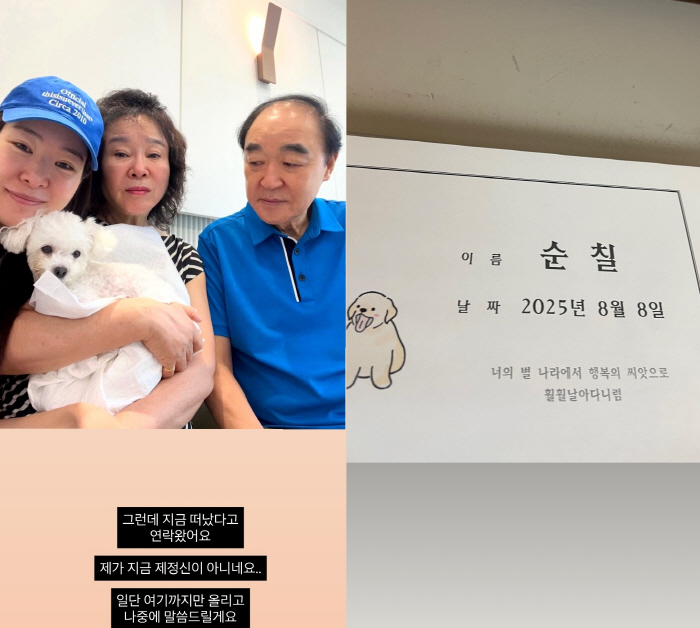 미자, 5년 만에 가슴 아픈 이별 "믿기지 않아..한순간에 떠나다니"
