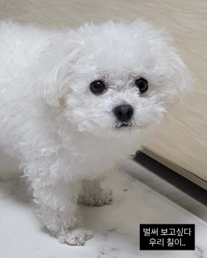 미자, 5년만 가족 잃고 안타까운 눈물 