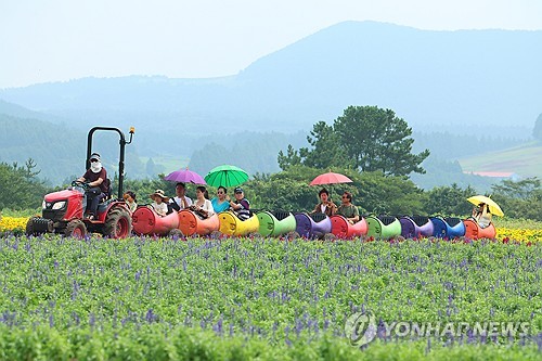 제주 방문 관광객 6∼7월 증가세로 반등…하반기도 유인책 강화