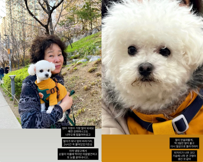 '김태현♥' 미자, 반려견 장례식서 눈물 펑펑.."오늘까지만 SNS, 많은 위로 감사"
