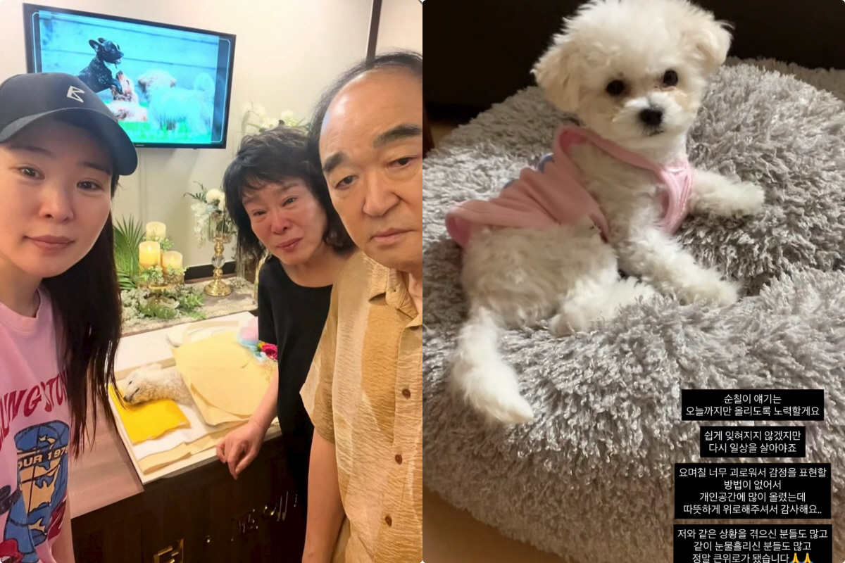 '김태현♥' 미자, 반려견 장례식서 눈물 펑펑.."오늘까지만 SNS, 많…