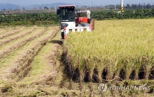 김제시, 볏짚 논에 되돌려주면 ㏊당 25만원 지급…"지력 증진"