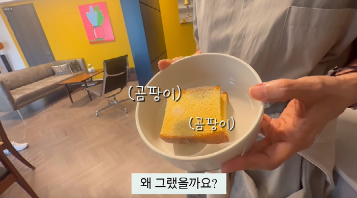 '56세' 신애라, 살림꾼인 줄 알았는데..곰팡이 음식에 충격 "기억력 …