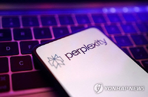 AI 스타트업 퍼플렉시티 