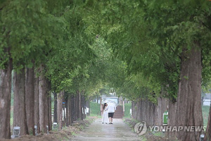 강원 내일까지 최대 150㎜ 이상 비…낮 최고기온 31도
