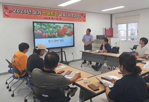 [양양소식] '딸기가 좋아'…스마트팜 교육생 28일까지 모집