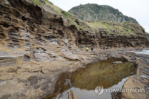 이달말까지 서귀포시 음식점 영수증 지참하면 공영관광지 할인