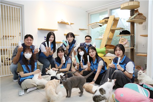 애경산업 휘슬, 유기고양이 보호소에 제품 기부·봉사활동
