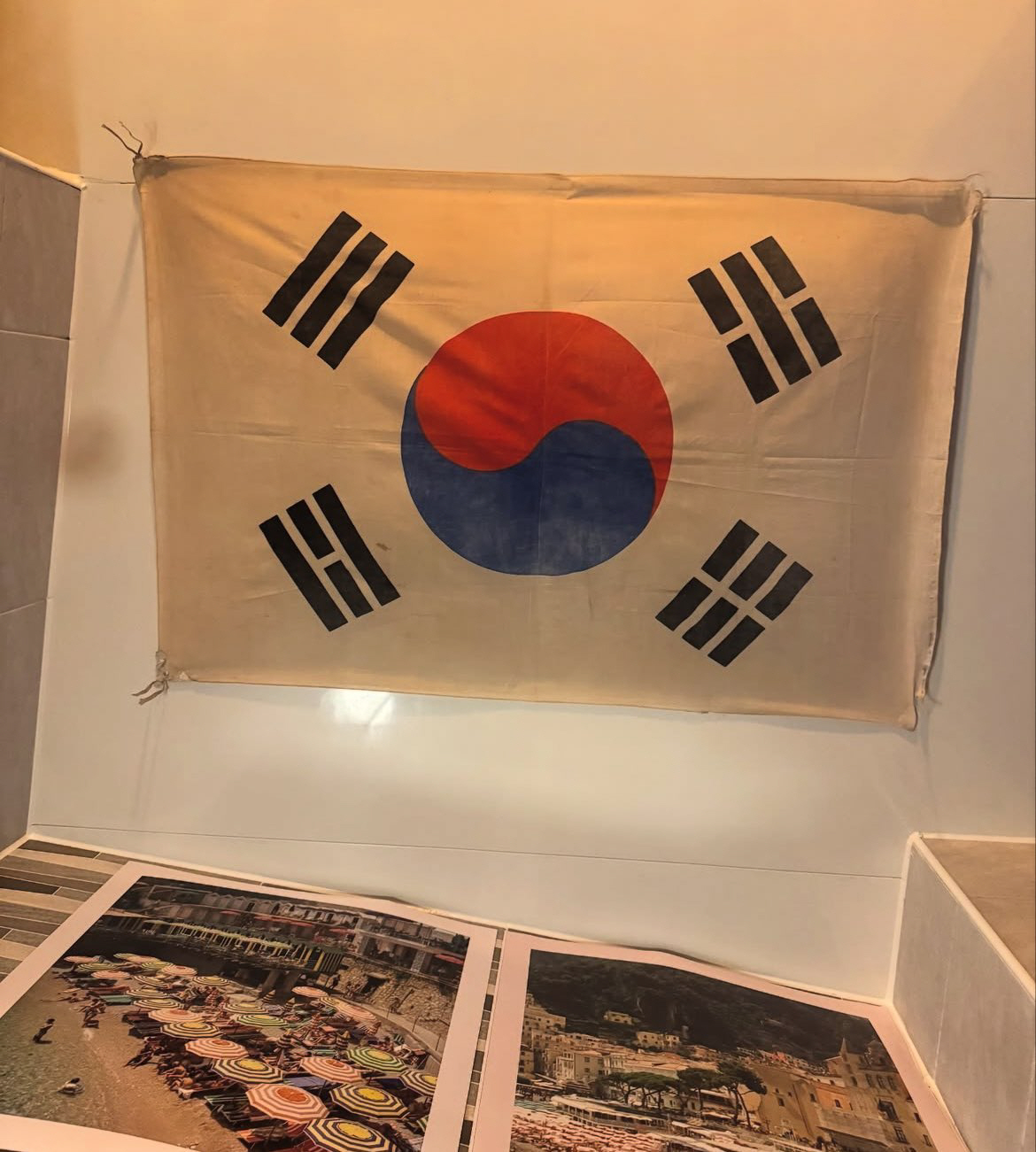 배정남, 찢어지고 피 묻은 태극기..광복절 80주년 남다른 애국심