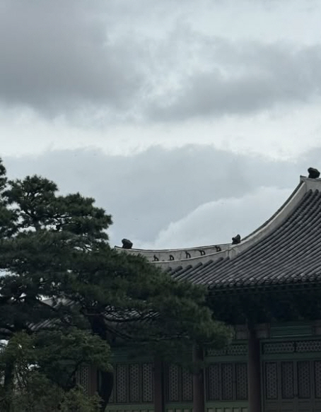 킴 카다시안, 한국 관광 제대로 하네..'광복절 태극기'까지 올렸다