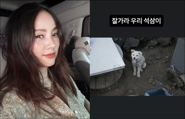 이효리, 암 말기 석삼이 떠나 보냈다…눈물의 작별 인사 "잘 가라"