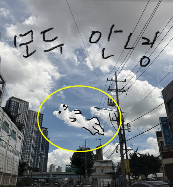 이효리 '구름이 된 석삼이' 공개…말기 암 반려견과 먹먹한 이별