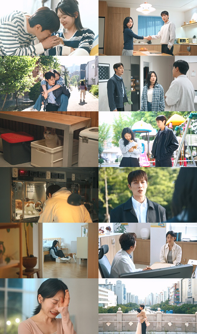 윤두준X김슬기, 근본적 문제는 '난임'..냥육권 전쟁→이혼 취소 '해피앤…