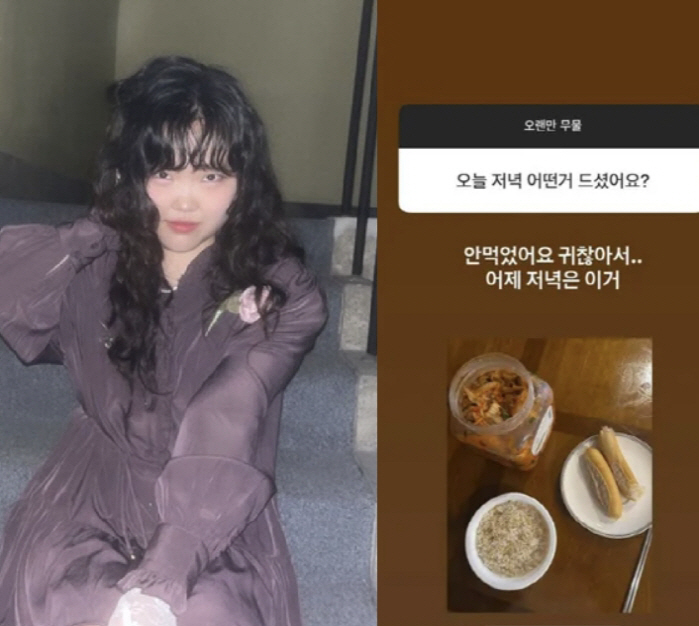 악뮤 이수현, 오빠 이찬혁 식단 관리받나…김치에 현미밥이 저녁이라니[SC…