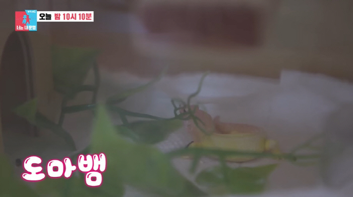 인교진♥소이현, '122억 CEO 子가 사는 집은?...첫 랜선집들이 "…