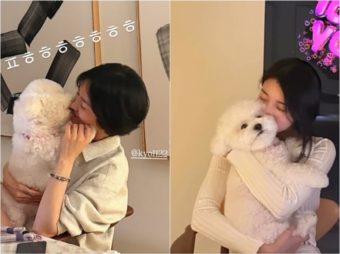 "예쁜 애 옆에 또 예쁜 애"…송혜교·수지 또 만났다→따로 또 같이 반려…