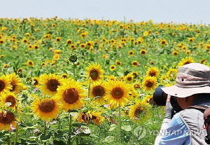충북 무더위 지속…오후 한때 소나기