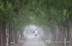 강원 강릉 밤 최저 29.5도…내륙·산지 오전까지 5∼20㎜ 비(종합)